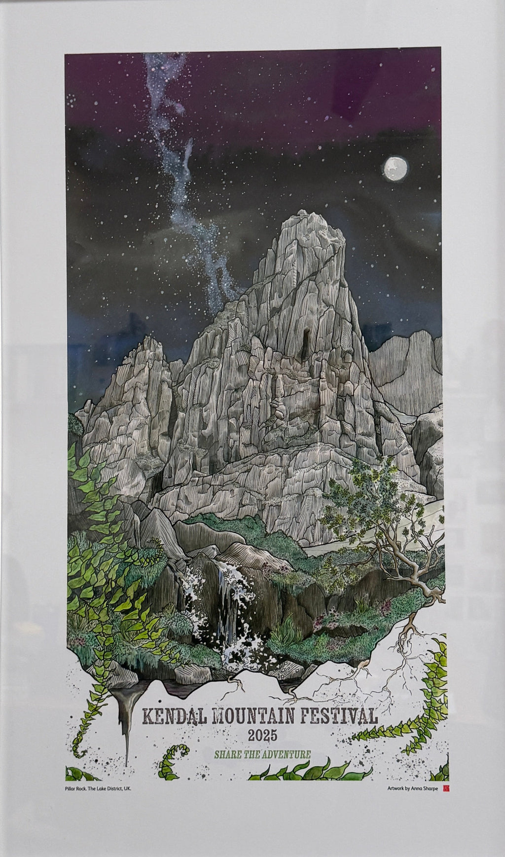 Festival 2025 Official Poster – Anna Sharpe