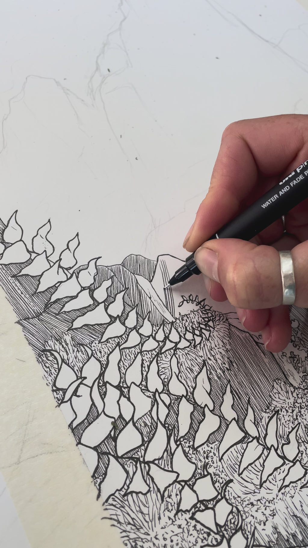 Festival 2025 Official Poster – Anna Sharpe